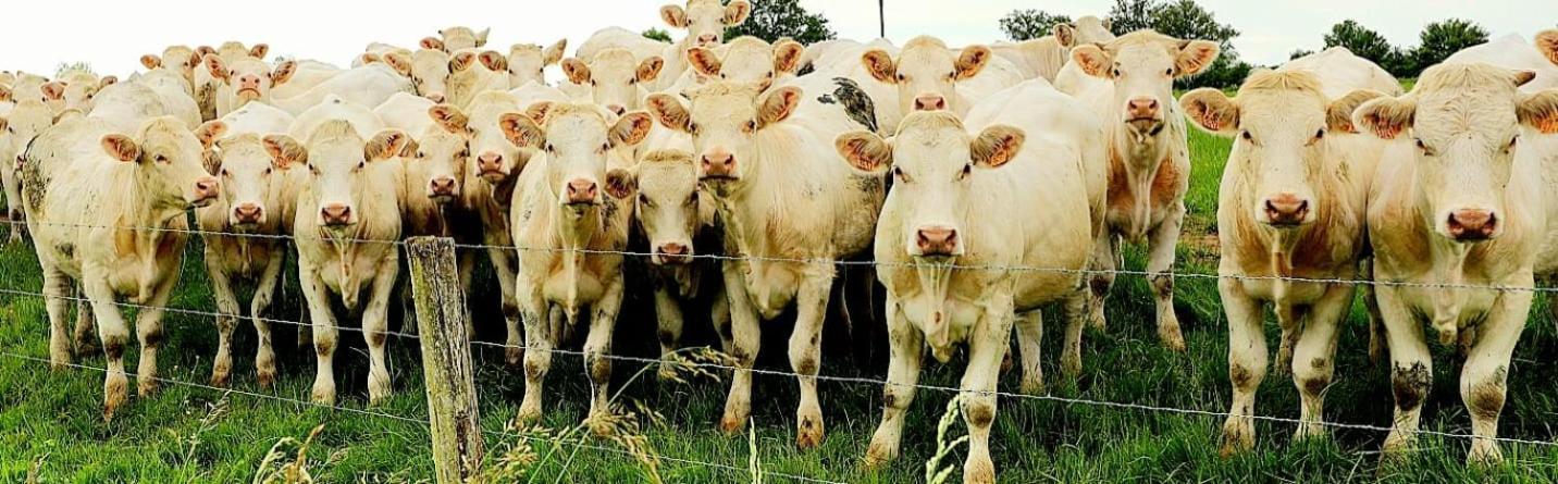 La Vache Tennis Prive Crux-la-Ville 外观 照片